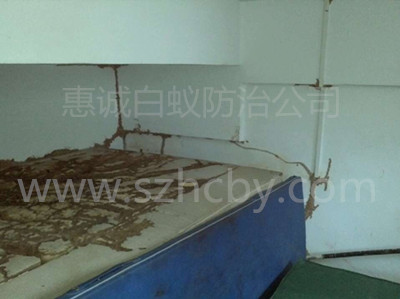 ����^(q��)��ρ����-����ʯ��С�W(xu��)�w����Ʒ��(ch��)���Ұ�ρΣ���F(xi��n)��(ch��ng)