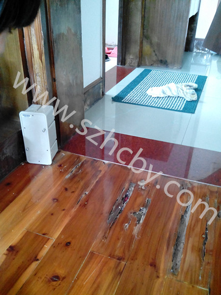 �����^(q��)��ρ��˾-�����мZ�\�(y��n)���@��ͥ��ρΣ��