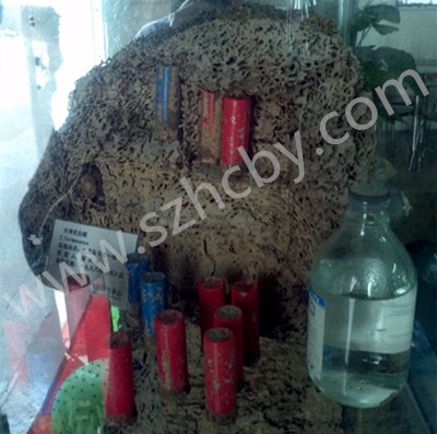 ���ڰ�ρ���ι�˾��B��ρԭʼ����