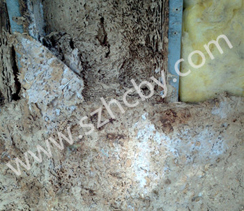 �½����ݼ�ͥ�b�޺���ô���A(y��)����ρ�M(j��n)�ݷ�ֳ������