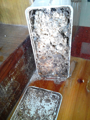 �����Ќ����^(q��)���l(xi��ng)�мZ�Ҹ����@��^(q��)��ρ���E�ɞ�(z��i)-���ڰ�ρ���ι�˾����ȥ�˽�һ��