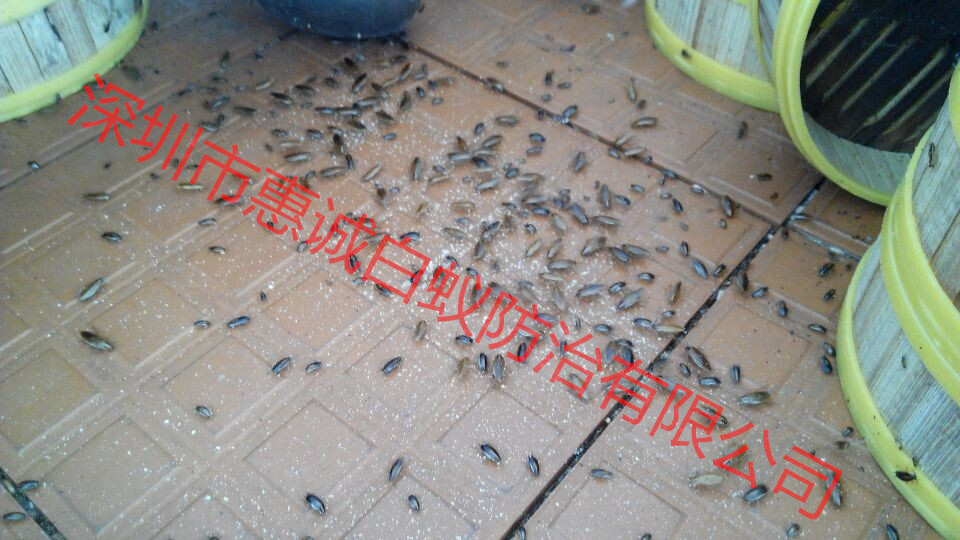 ���ķ���