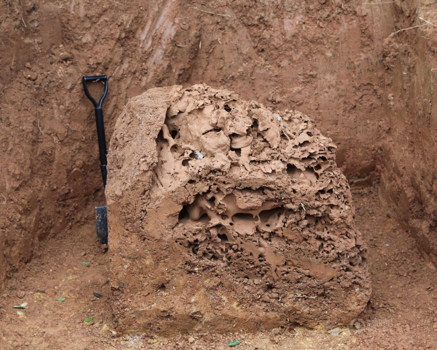 �㽭ʡ�B�d���ڳ���(gu��)��(n��i)�޴����S����ρ��-���ڰ�ρ����