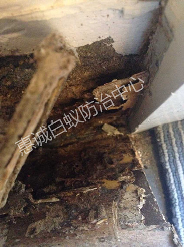 �������׃��@��ρΣ���[�����֮��