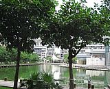 ��ɽ��ρ����-��ɽ�����Aͥ��ρ����-��ɽ��ρ���ι�˾