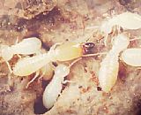 ������ρ����-������ҹ𷼈@��ρ���Ρ����ρ