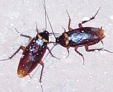 ���ﲼ��?d��)����x(ch��ng)-���^�偆�޹��I(y��)�@��������x(ch��ng)�����