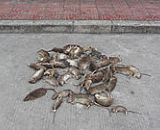 ���ڜ���˾-��������ơ�ƏS(ch��ng)���I(y��)�^(q��)������