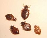 �_������x(ch��ng)-�_��ˮؐ�������錚������޹�˾�T�����ᚢ���x(ch��ng)