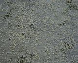 ��ɽ��ρ����-��ɽ��ɽ���@��ρ����